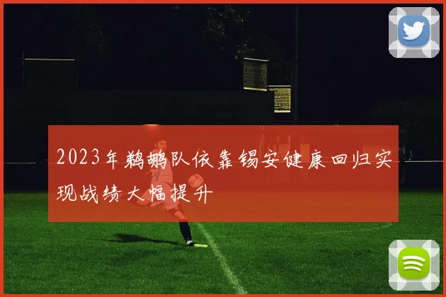 2023年鹈鹕队依靠锡安健康回归实现战绩大幅提升