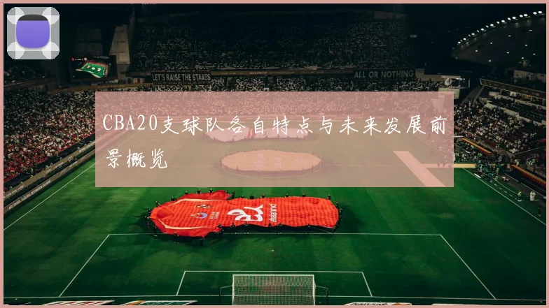 CBA20支球队各自特点与未来发展前景概览