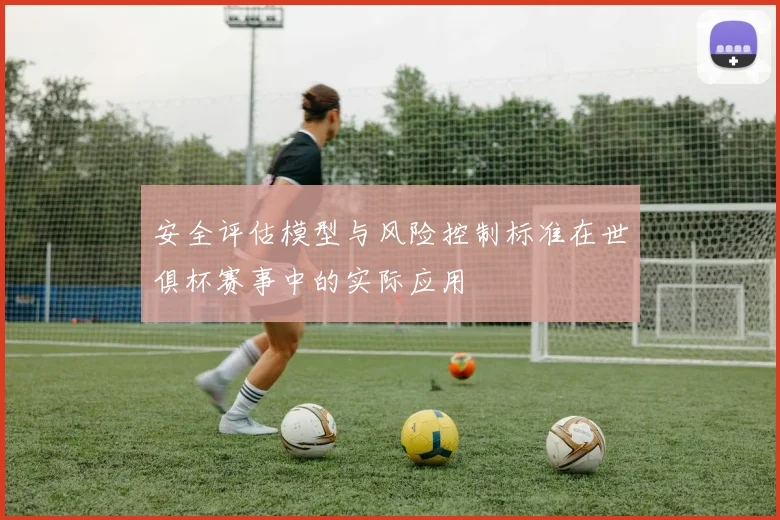 安全评估模型与风险控制标准在世俱杯赛事中的实际应用