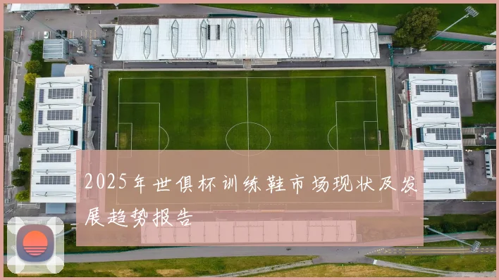 2025年世俱杯训练鞋市场现状及发展趋势报告
