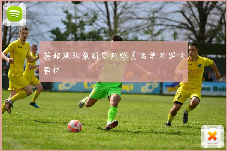 英超狼队最新签约球员名单及实力解析