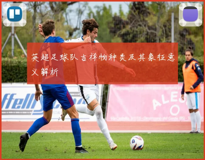 英超足球队吉祥物种类及其象征意义解析
